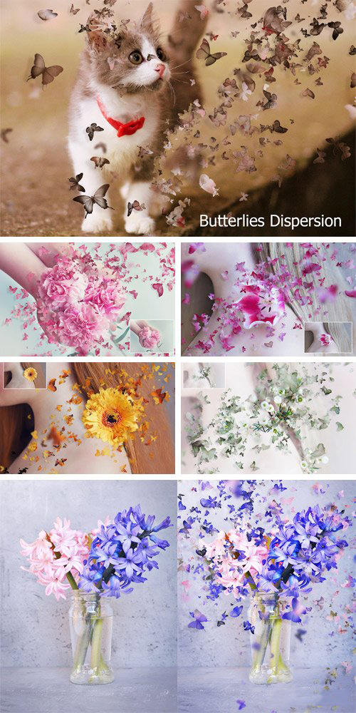 Creativemarket - Butterflies Dispersion