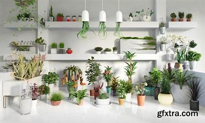 Evermotion - Archmodels vol.141 - Indoor Plants (MAX/V-Ray)