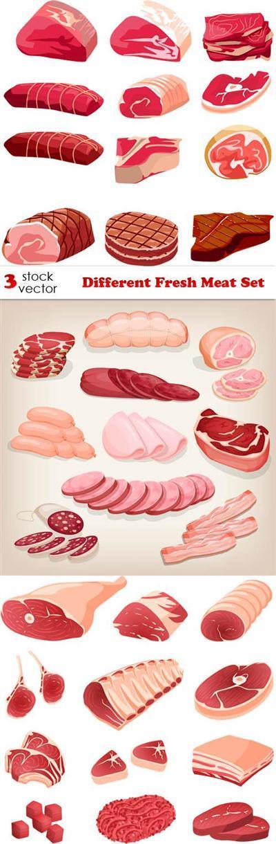 Vectors - Different Fresh Meat Set