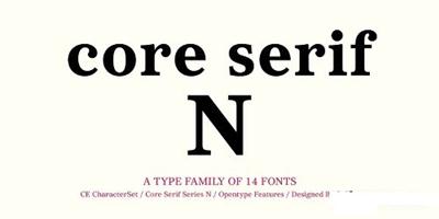 Core Serif N Font Family - Fonts $999